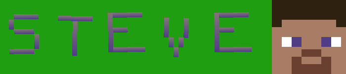 Minecraft Steve's Profile