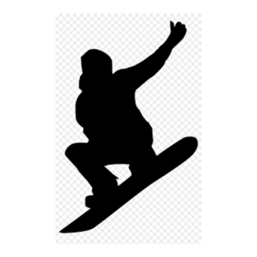 Ski Scout Icon