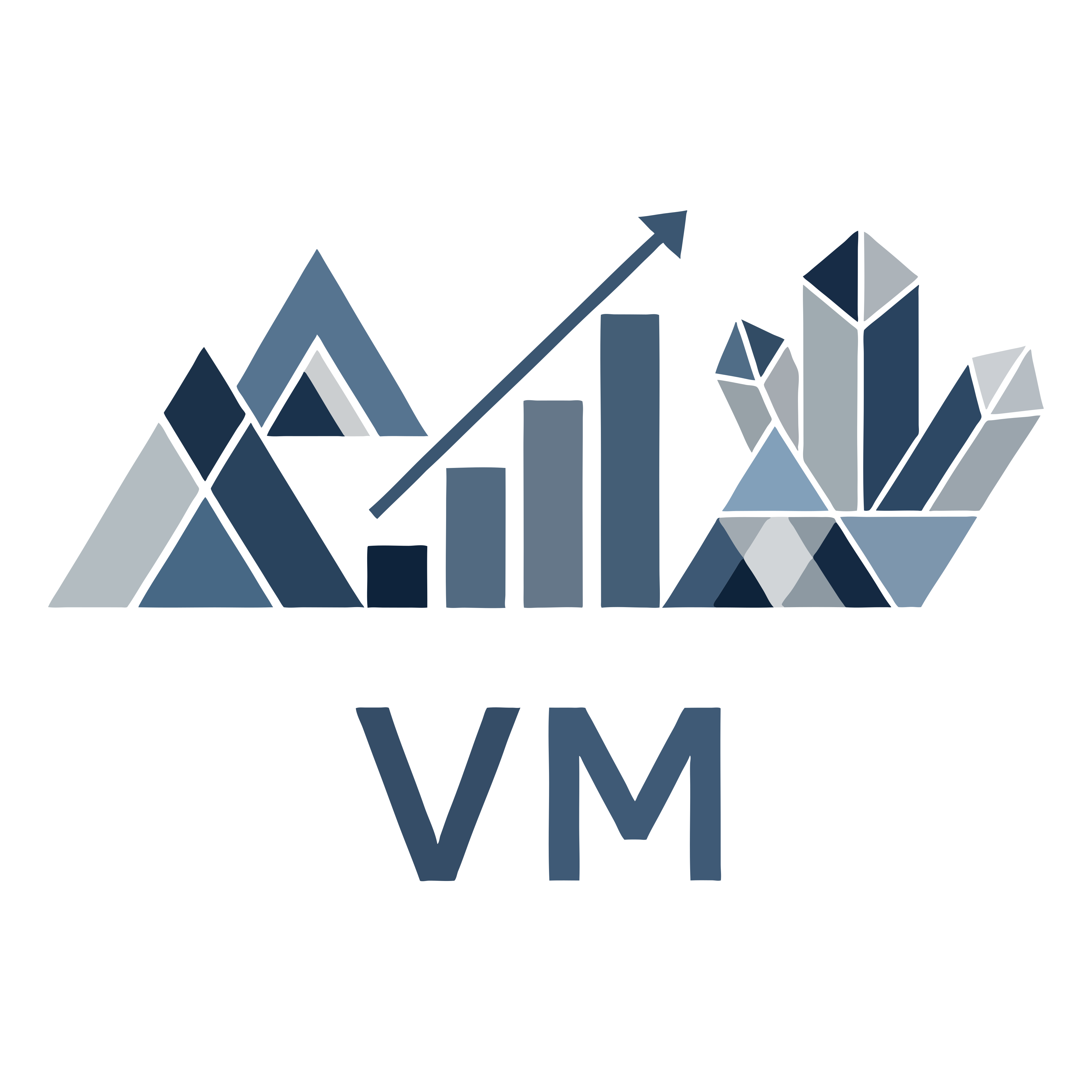 Virtual Markets Icon